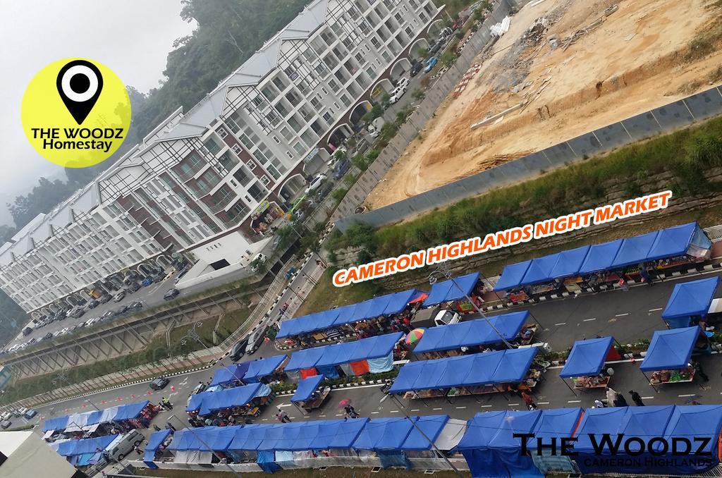 The Woodz Homestay - 3 Bedroom 카메론하일랜즈 객실 사진