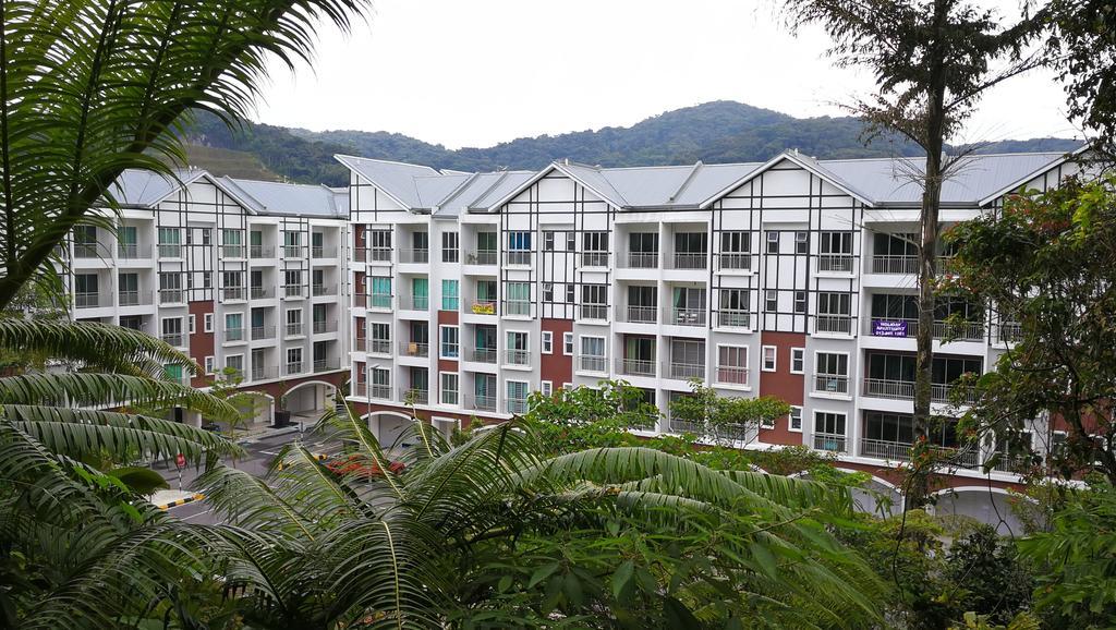 The Woodz Homestay - 3 Bedroom 카메론하일랜즈 객실 사진
